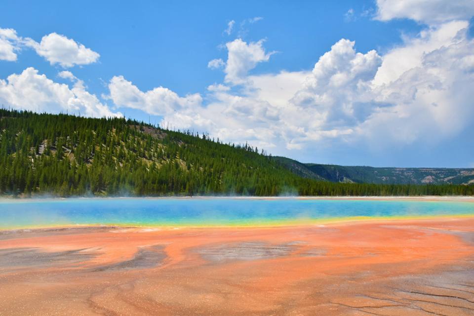 Yellowstone National Park_莊宜靜 (3)到了現場才知道明信片上的美景都是真實的!-11
